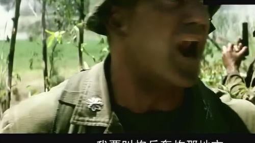 电影长城在线观看八哥,揭秘神秘守卫者的传奇故事  第3张